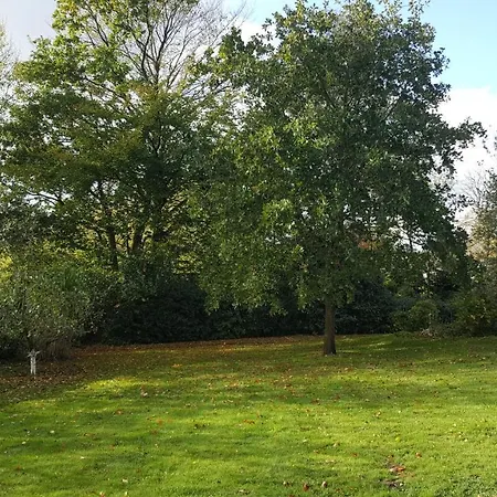 Reethus Am Klintumer Moor * Leck
