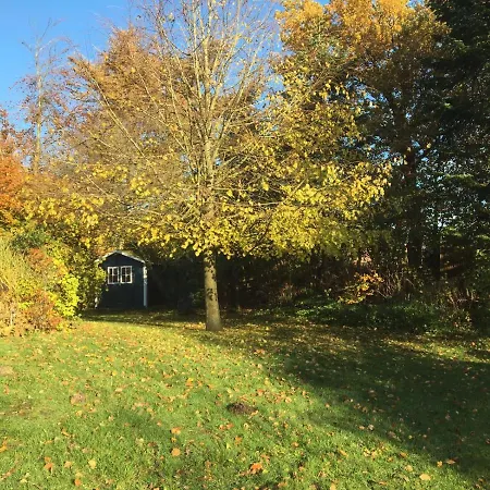 Reethus Am Klintumer Moor Villa *