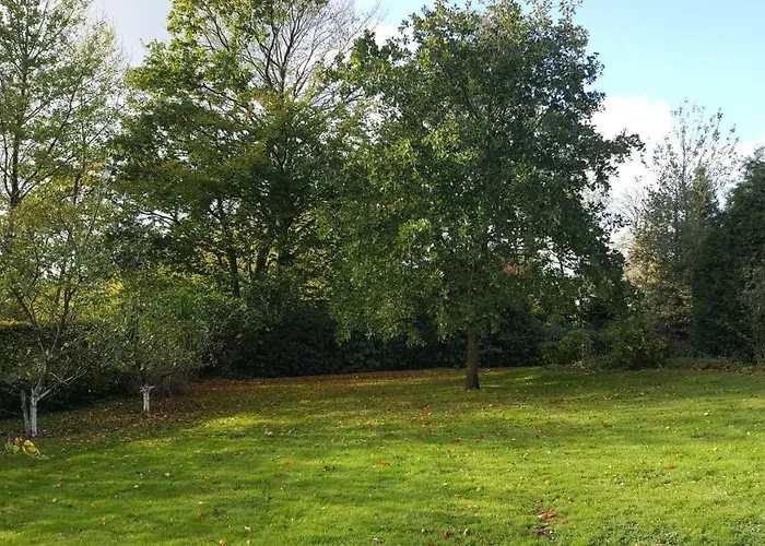 Reethus Am Klintumer Moor * Leck