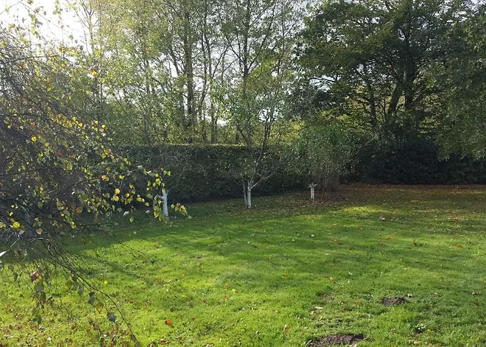 Reethus Am Klintumer Moor Villa