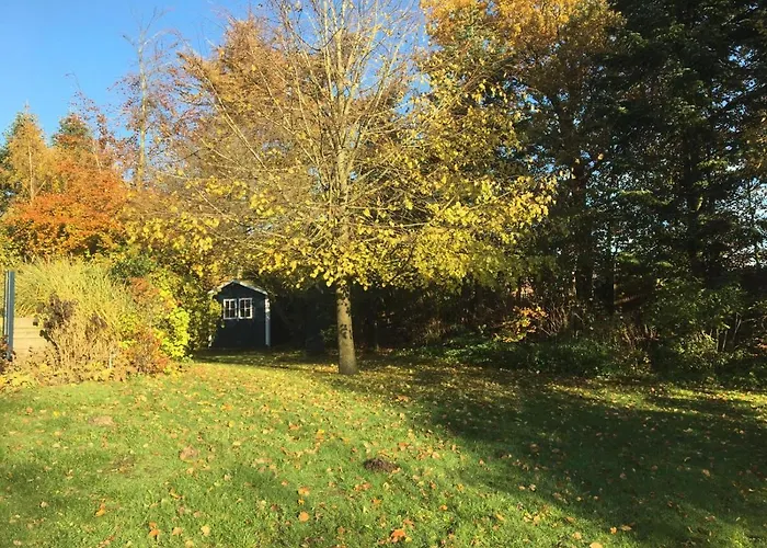 Reethus Am Klintumer Moor Villa *